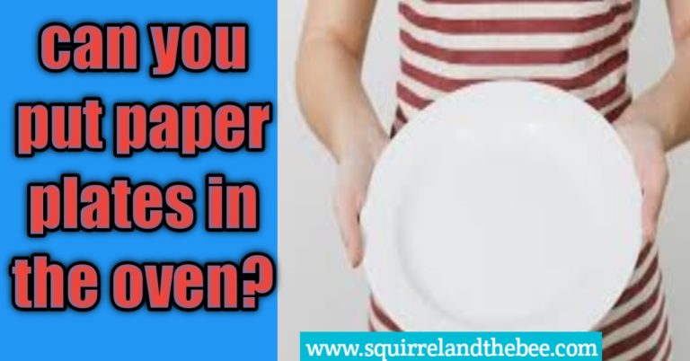 can-you-put-paper-plates-in-the-oven